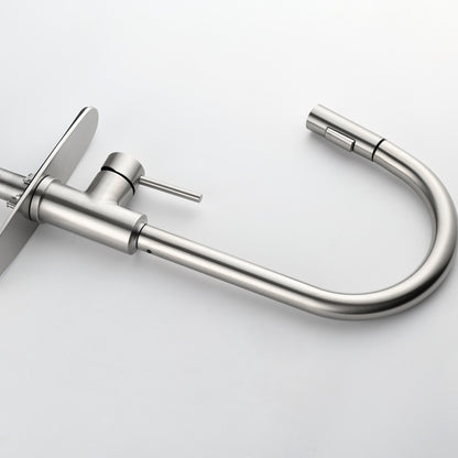 Stainless Steel Kitchen Sink Faucet with Pull-Down Sprayer
