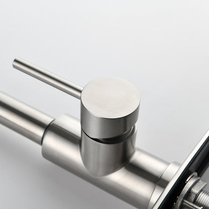 Stainless Steel Kitchen Sink Faucet with Pull-Down Sprayer
