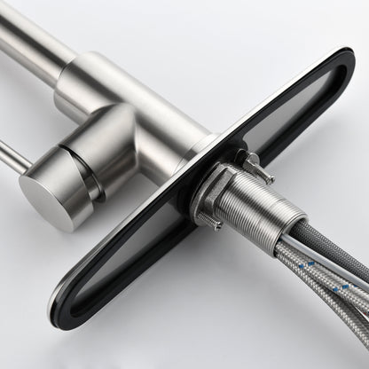 Stainless Steel Kitchen Sink Faucet with Pull-Down Sprayer