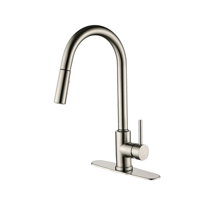 Stainless Steel Kitchen Sink Faucet with Pull-Down Sprayer