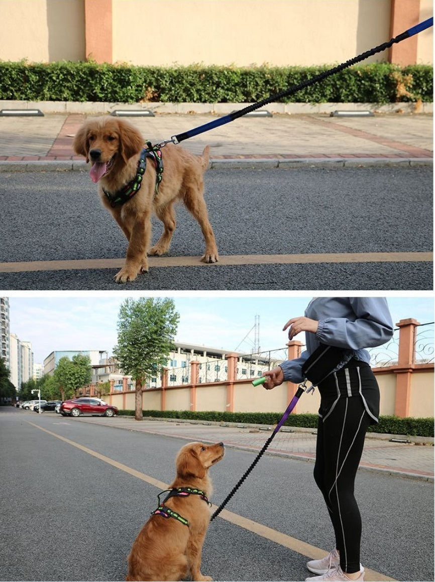 Hands-Free Dog Leash Retractable Explosion-Proof Reflective Nylon Pet Hand Holding Rope