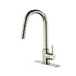 Stainless Steel Kitchen Sink Faucet with Pull-Down Sprayer