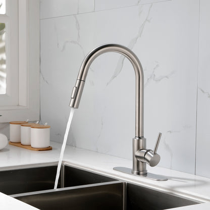 Stainless Steel Kitchen Sink Faucet with Pull-Down Sprayer