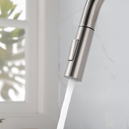 Stainless Steel Kitchen Sink Faucet with Pull-Down Sprayer