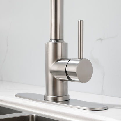 Stainless Steel Kitchen Sink Faucet with Pull-Down Sprayer