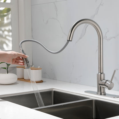 Stainless Steel Kitchen Sink Faucet with Pull-Down Sprayer